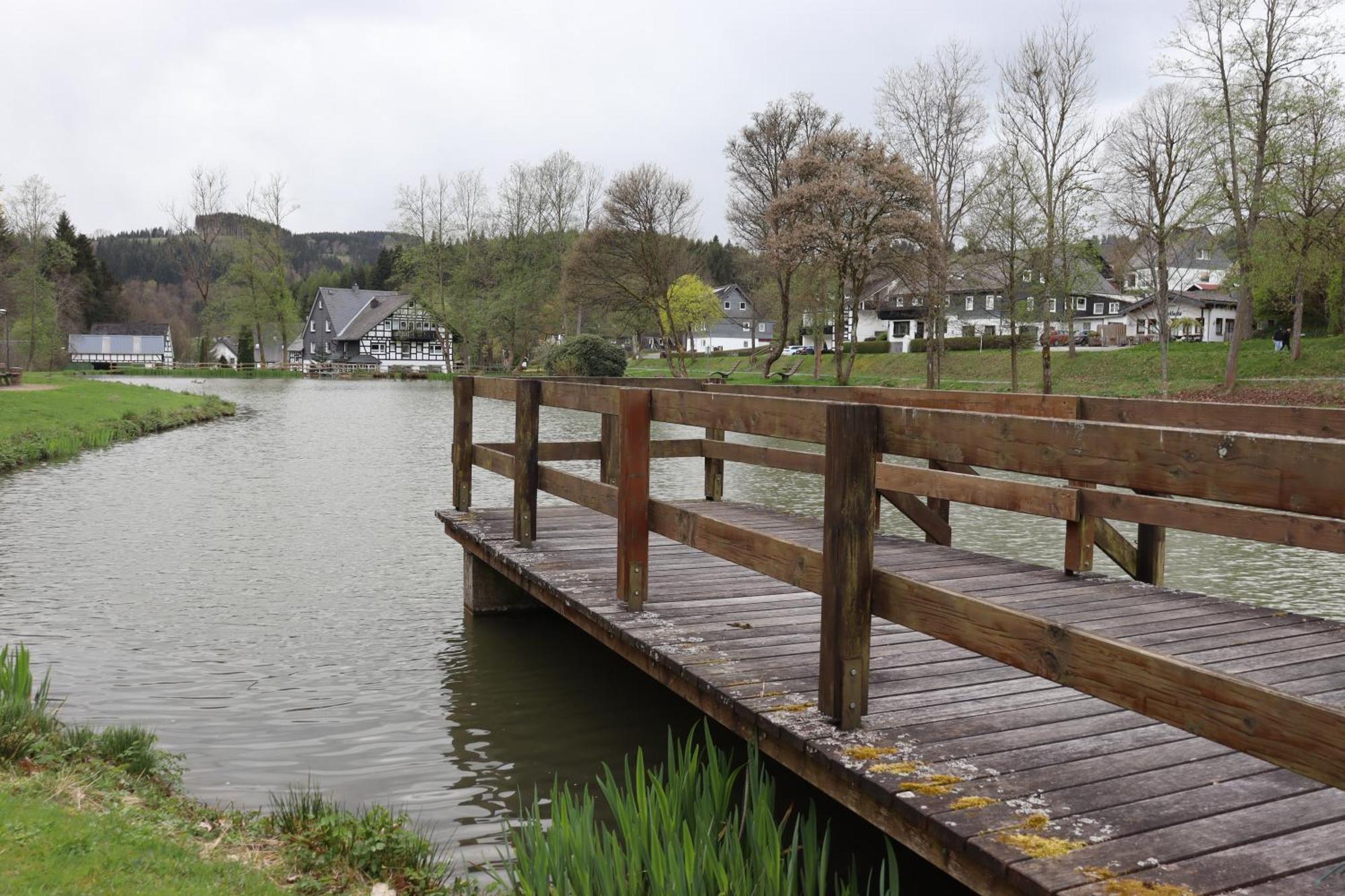 Direkt Am See Winterberg Elkeringhausen Dış mekan fotoğraf